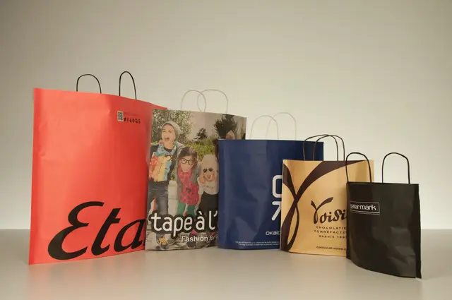 Hubst_Productos_Bolsas de Papel